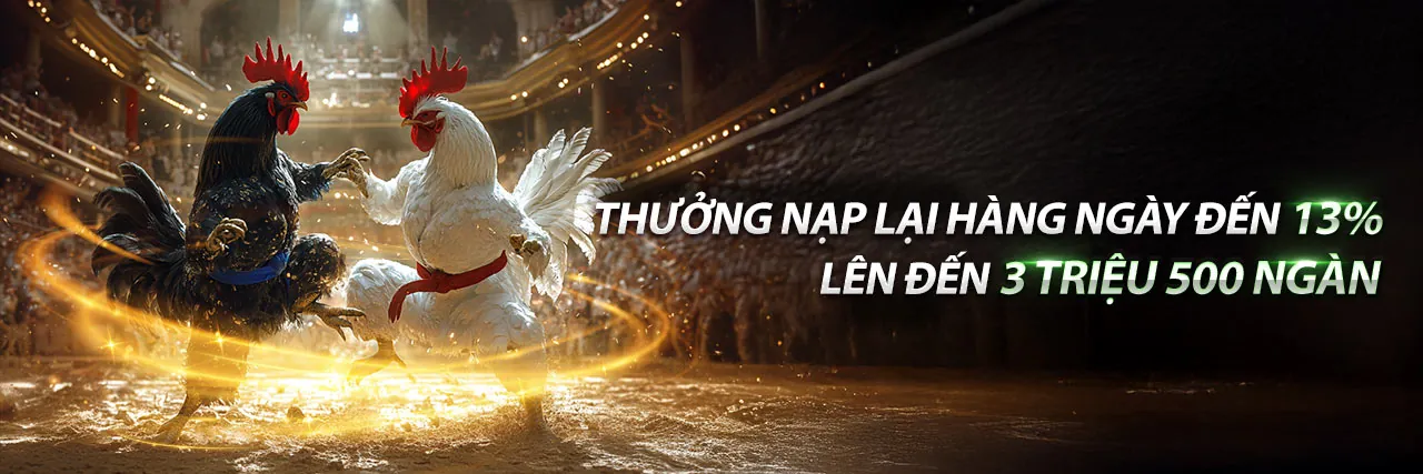 Đá gà trực tiếp C2 tại Win2026VN